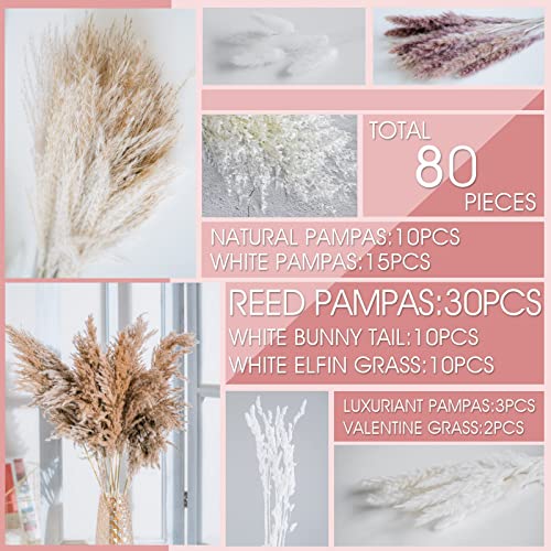 80PCS Natural Dried Pampas Grass Bouquet,Boho Home Decor