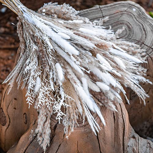 80PCS Natural Dried Pampas Grass Bouquet,Boho Home Decor